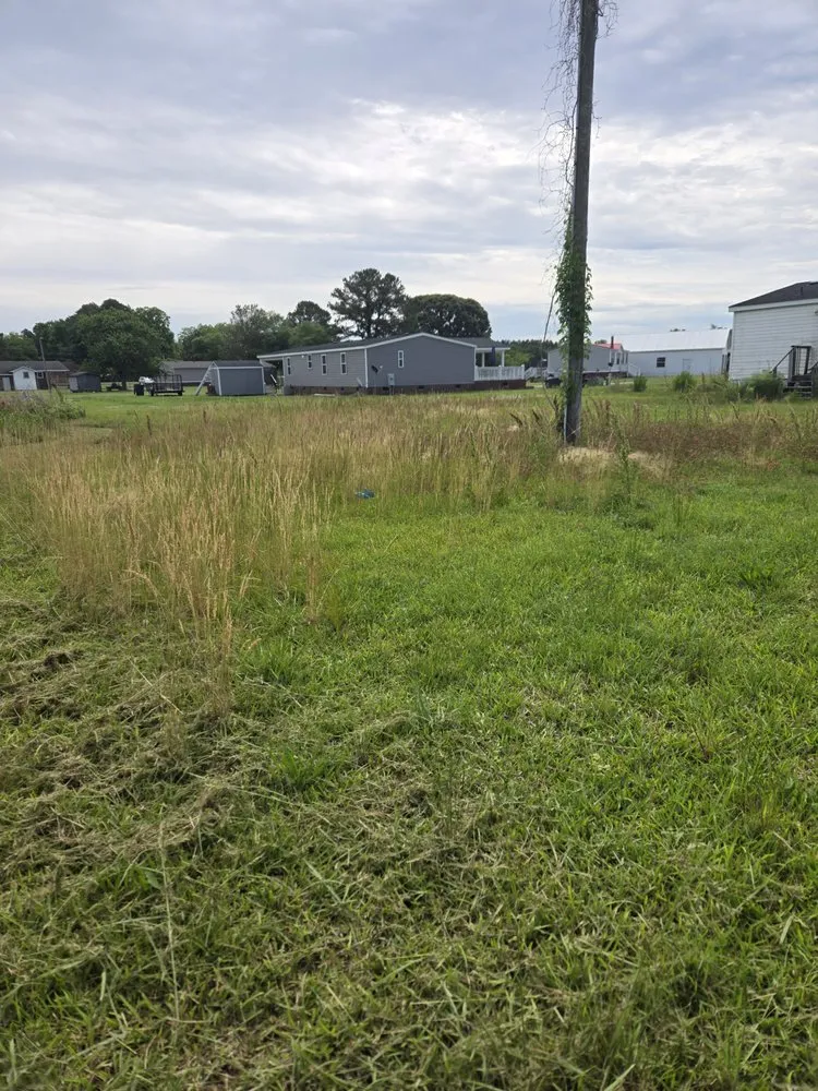 Affordable lawn care service in Greenville, NC - Dixon Landscaping