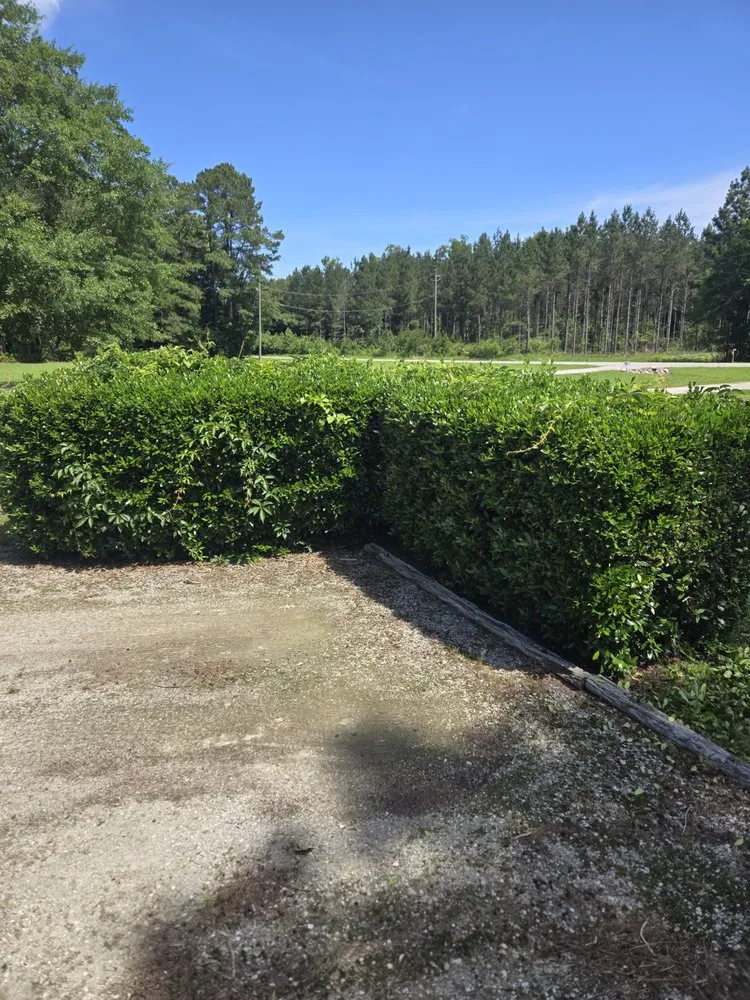 Professional lawn mowing service for year-round maintenance across Greenville, NC - Dixon Landscaping