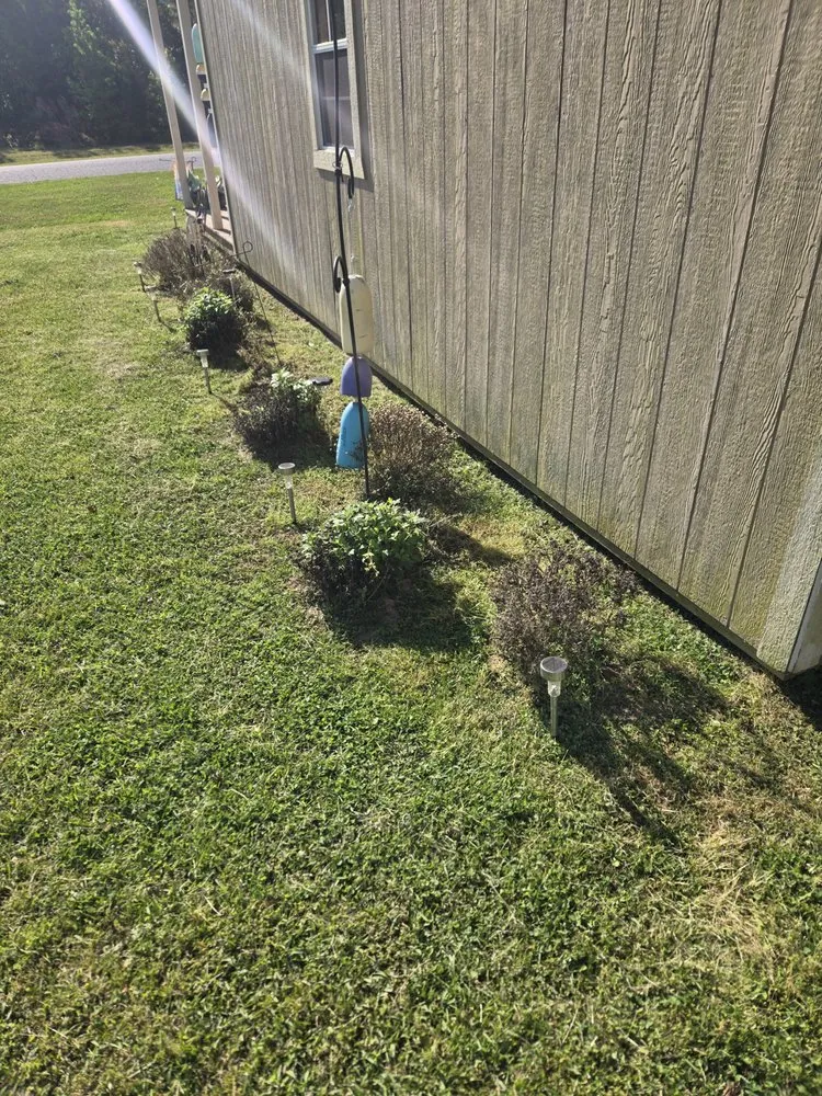 Local lawn care service in Greenville, NC by Dixon Landscaping