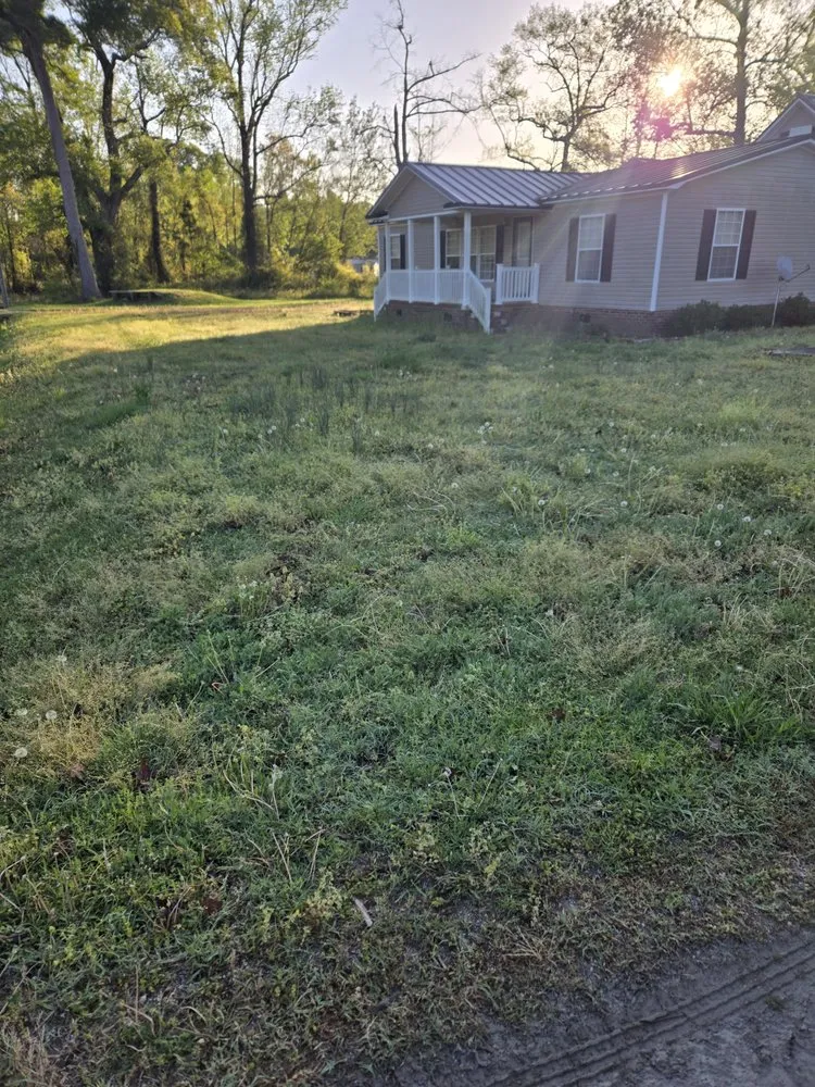 Top-rated residential landscaping with custom design across Greenville, NC - Dixon Landscaping