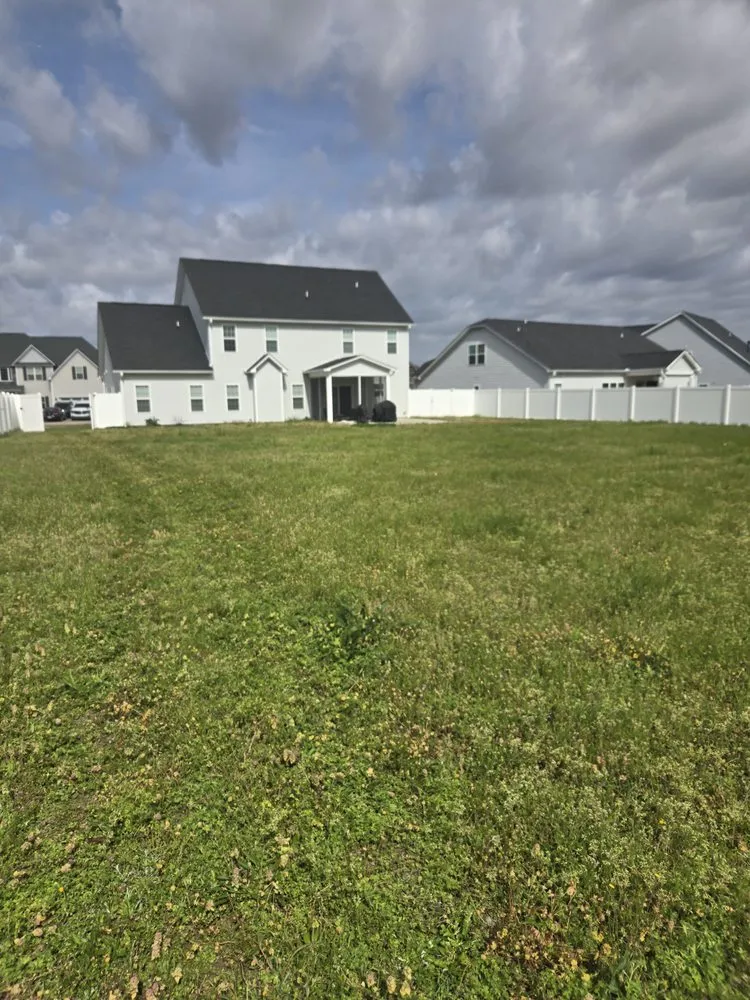 Expert yard cleanup service in Greenville, NC - Dixon Landscaping