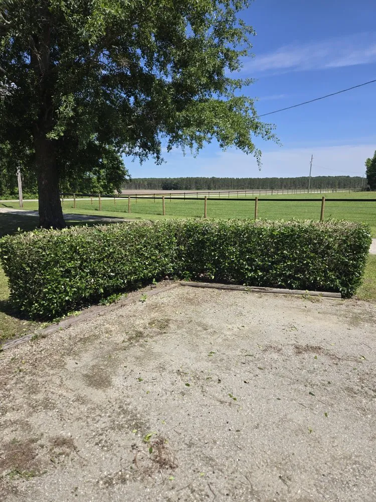 Reliable yard maintenance near you in Greenville, NC by Dixon Landscaping