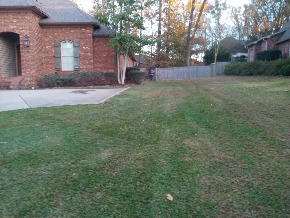 Expert landscaping services in Jackson, MS - Dixon Lawn & Painting Service