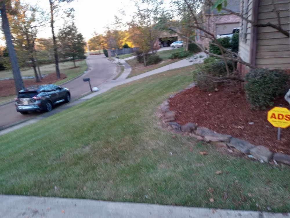 Expert landscape installation for outdoor upgrades in Jackson, MS by Dixon Lawn & Painting Service