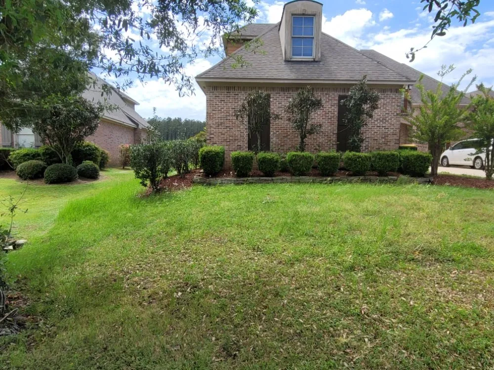 Professional outdoor landscaping near you in Jackson, MS by Dixon Lawn & Painting Service