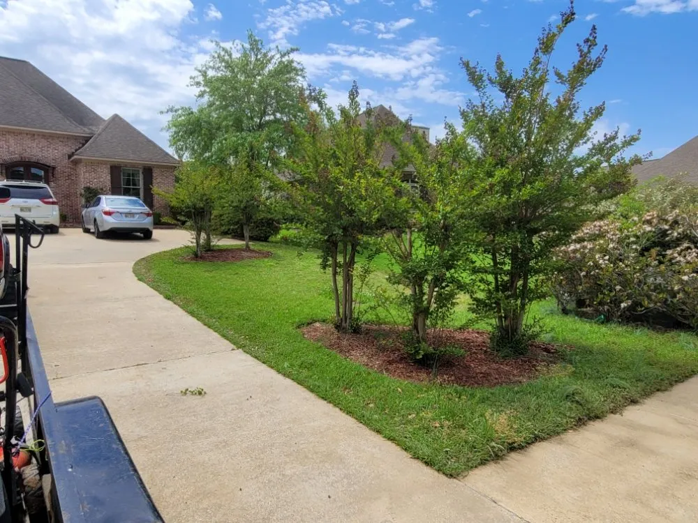 Professional outdoor landscaping in Jackson, MS by Dixon Lawn & Painting Service