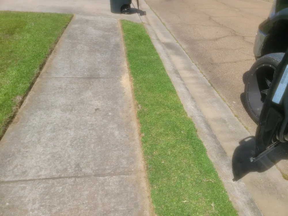 Expert yard cleanup service with custom design across Jackson, MS - Dixon Lawn & Painting Service