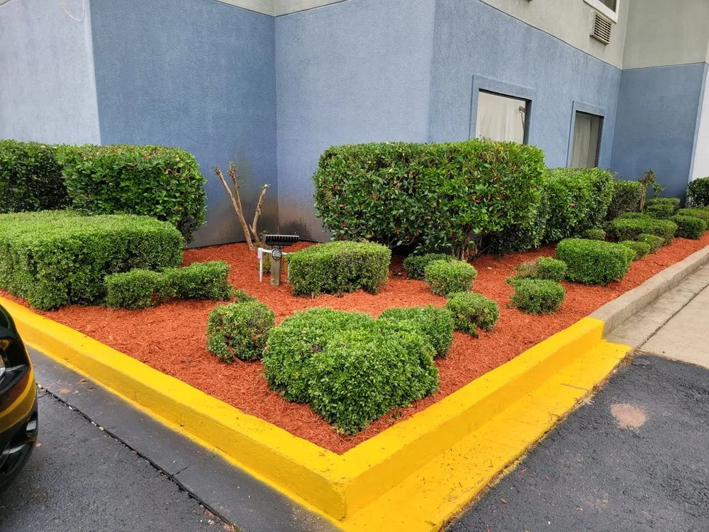 Reliable lawn care service in Jackson, MS by Dixon Lawn & Painting Service