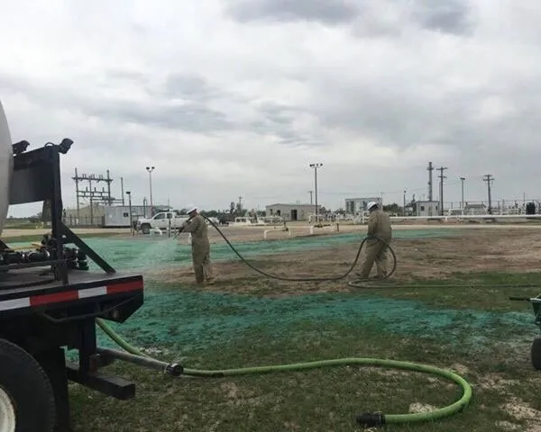 Local landscaping services for outdoor upgrades in Hutchinson, KS by Dixon Lawn Care