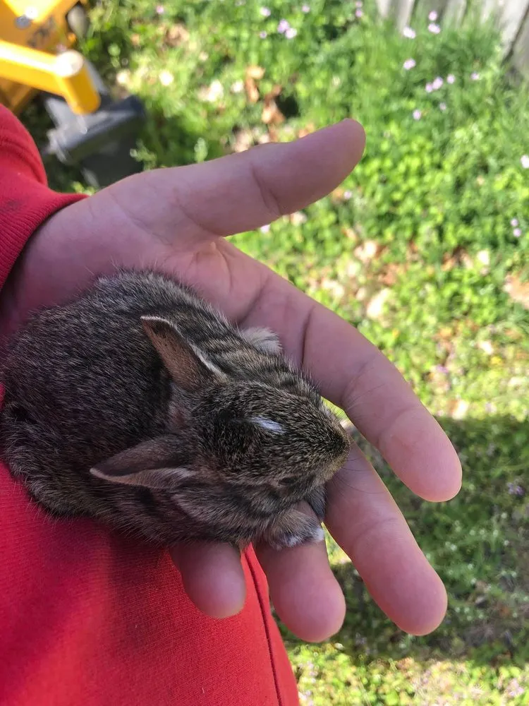 Local outdoor landscaping for outdoor upgrades across Hutchinson, KS - Dixon Lawn Care