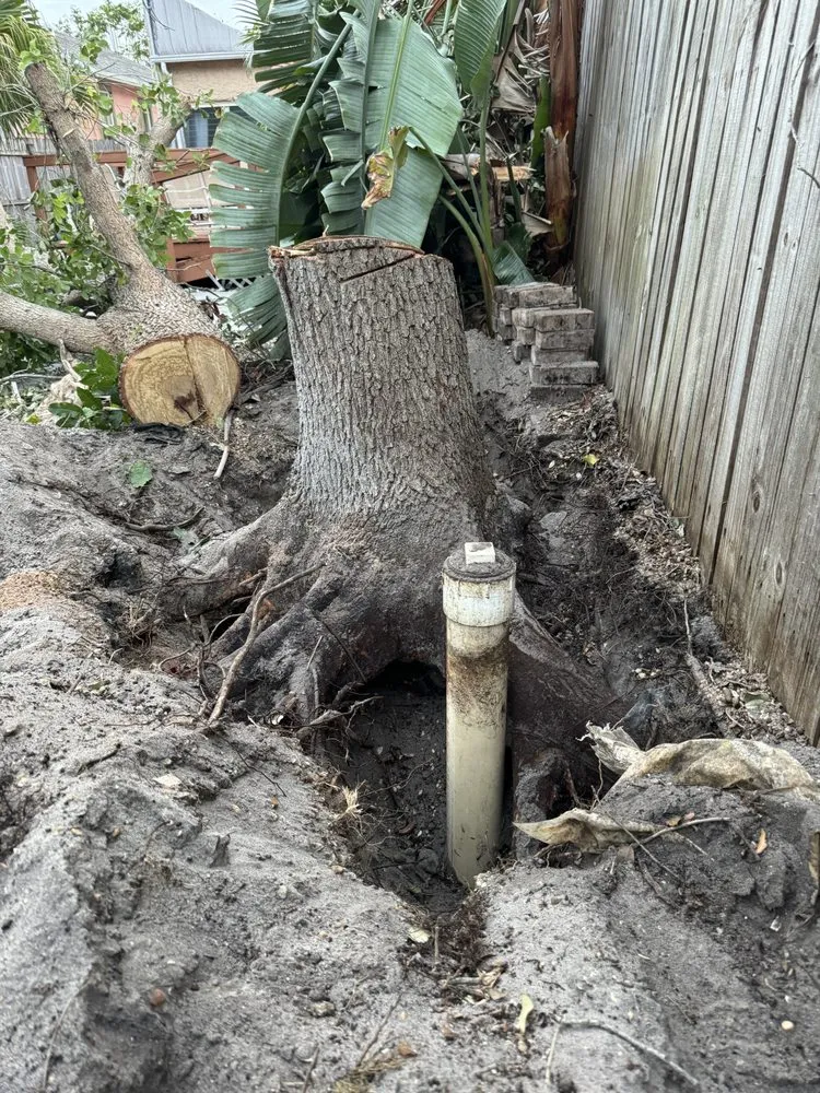 Custom garden landscaping in West Palm Beach, FL by Dixons Best Maintenance