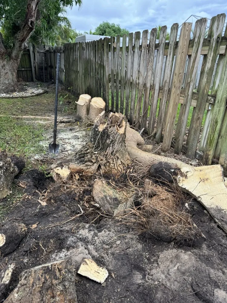 Custom landscape installation for outdoor upgrades in West Palm Beach, FL by Dixons Best Maintenance