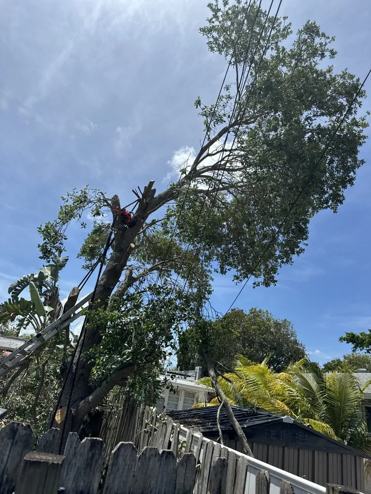 Local lawn mowing service in West Palm Beach, FL by Dixons Best Maintenance