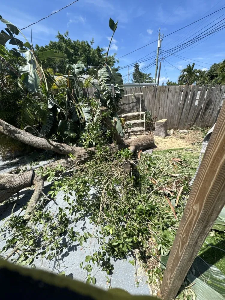 Custom lawn care service in West Palm Beach, FL - Dixons Best Maintenance