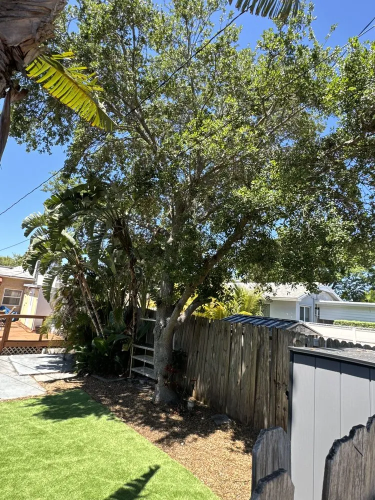 Custom lawn mowing service in West Palm Beach, FL by Dixons Best Maintenance