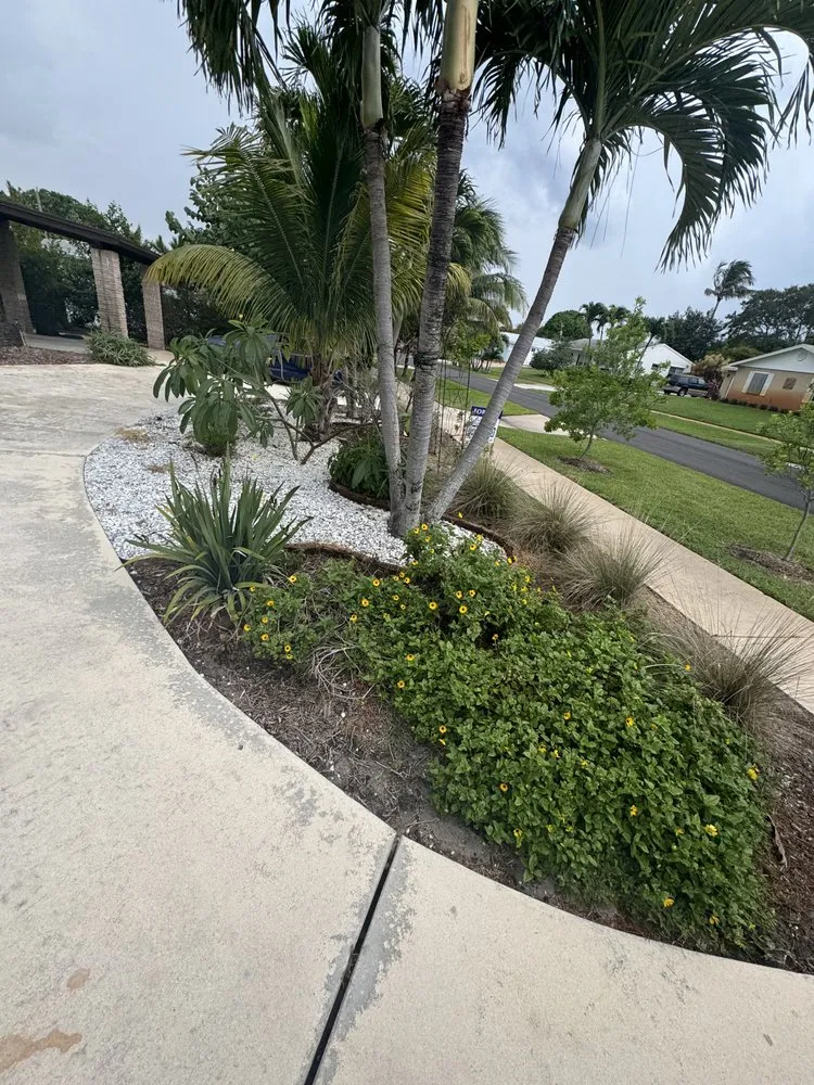 Custom lawn care service in West Palm Beach, FL - Dixons Best Maintenance
