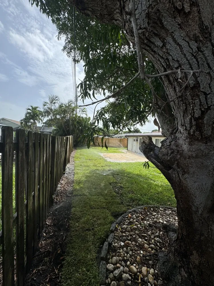 Trusted yard maintenance in West Palm Beach, FL - Dixons Best Maintenance