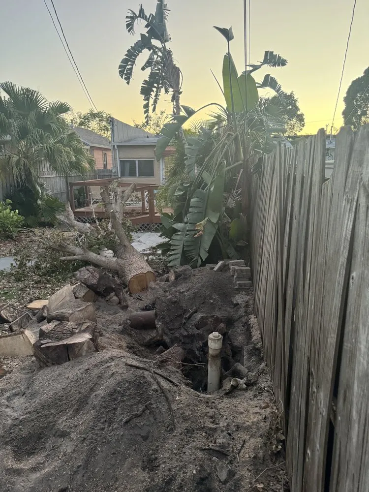 Top-rated yard cleanup service for beautiful yards in West Palm Beach, FL by Dixons Best Maintenance