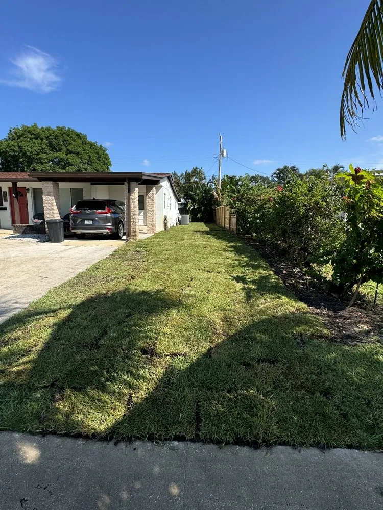 Custom yard cleanup service in West Palm Beach, FL - Dixons Best Maintenance