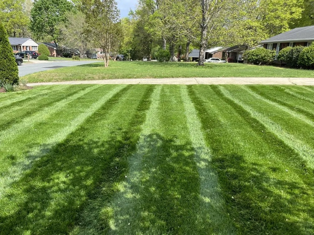 Expert yard maintenance in Snow Camp, NC - Dixons Lawn Care
