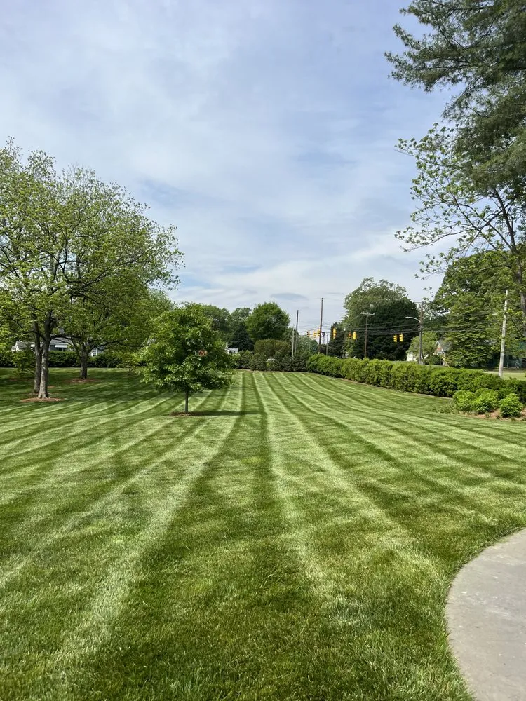 Local yard cleanup service experts serving Snow Camp, NC - Dixons Lawn Care