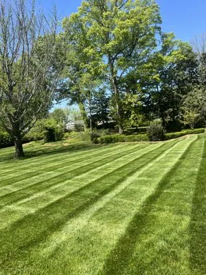 Dixons Lawn Care Logo