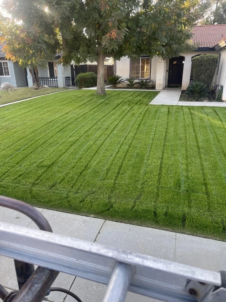 Trusted yard maintenance experts serving Bakersfield, CA - Dixon's Lawn Services and Maintenance