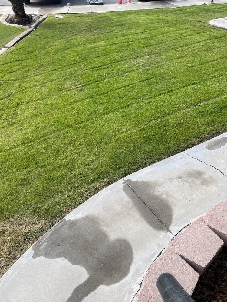 Local outdoor landscaping in Bakersfield, CA - Dixon's Lawn Services and Maintenance