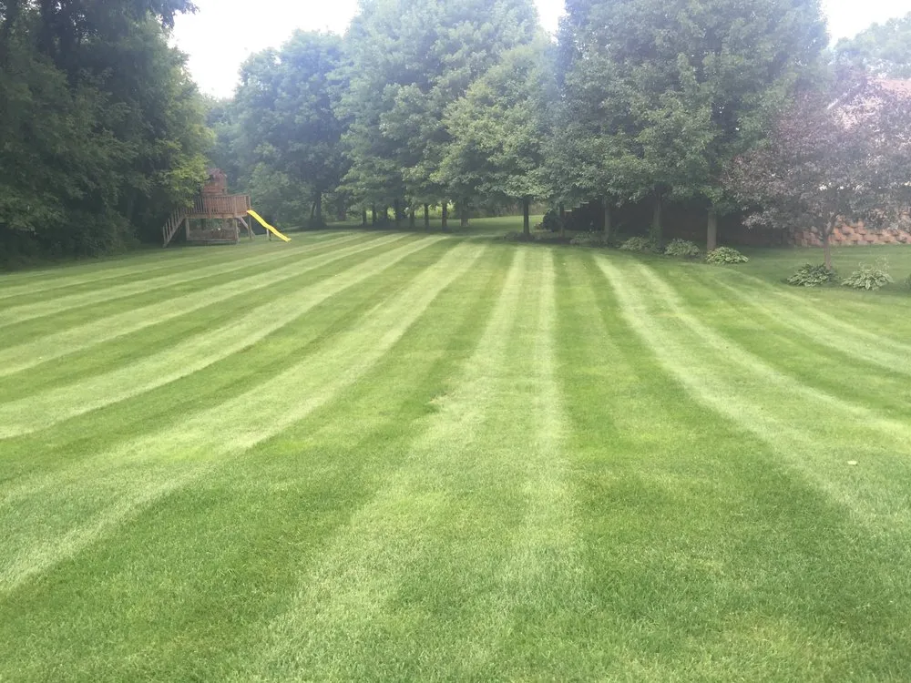 Top-rated yard cleanup service experts serving Livonia, MI - Dixson Landscaping