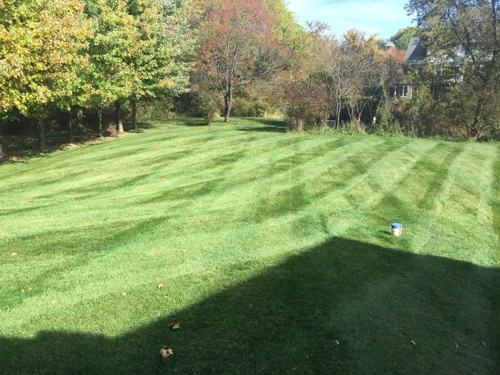 Affordable yard maintenance for beautiful yards in Livonia, MI by Dixson Landscaping