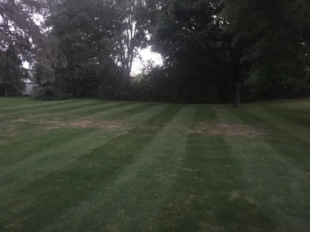 Reliable landscape design with custom design across Livonia, MI - Dixson Landscaping