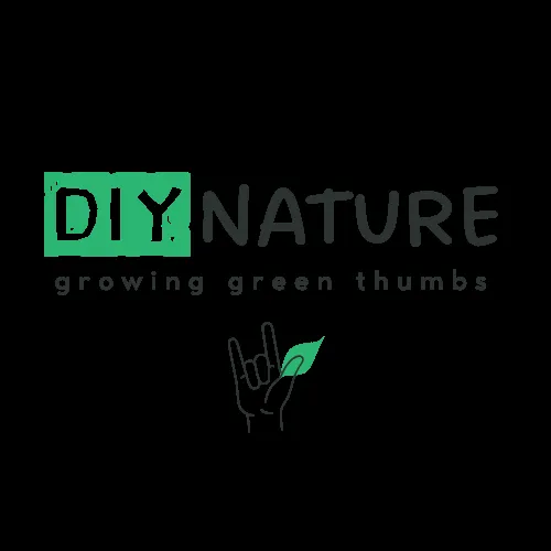 Local landscape design experts serving Woodbridge, VA - DIY Nature