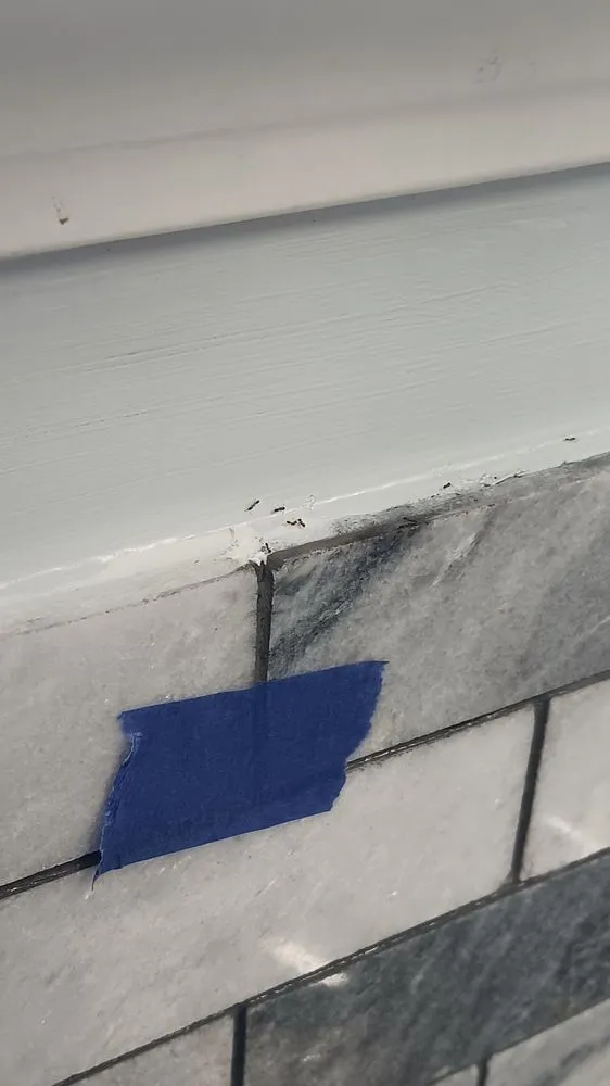 Affordable residential landscaping in Orange City, FL by DIY Pest and Lawn