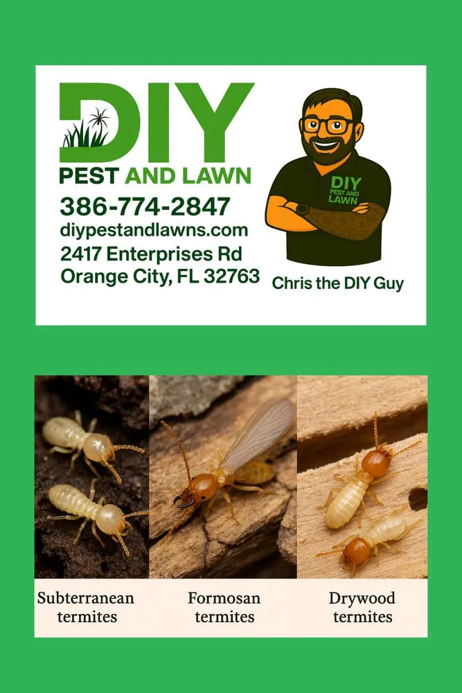 Expert yard maintenance near you across Orange City, FL - DIY Pest and Lawn