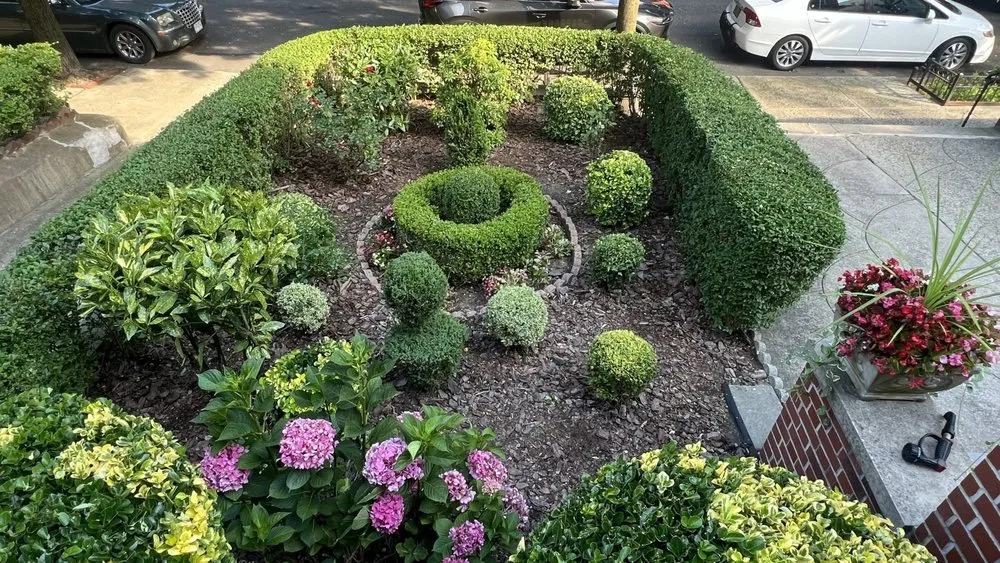 Trusted lawn care service in Brooklyn, NY - Diyarza Landscaping