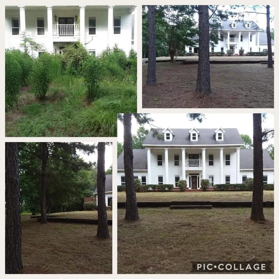 Trusted lawn mowing service for residential properties in Montgomery, AL by Dizzle Landscape And Design