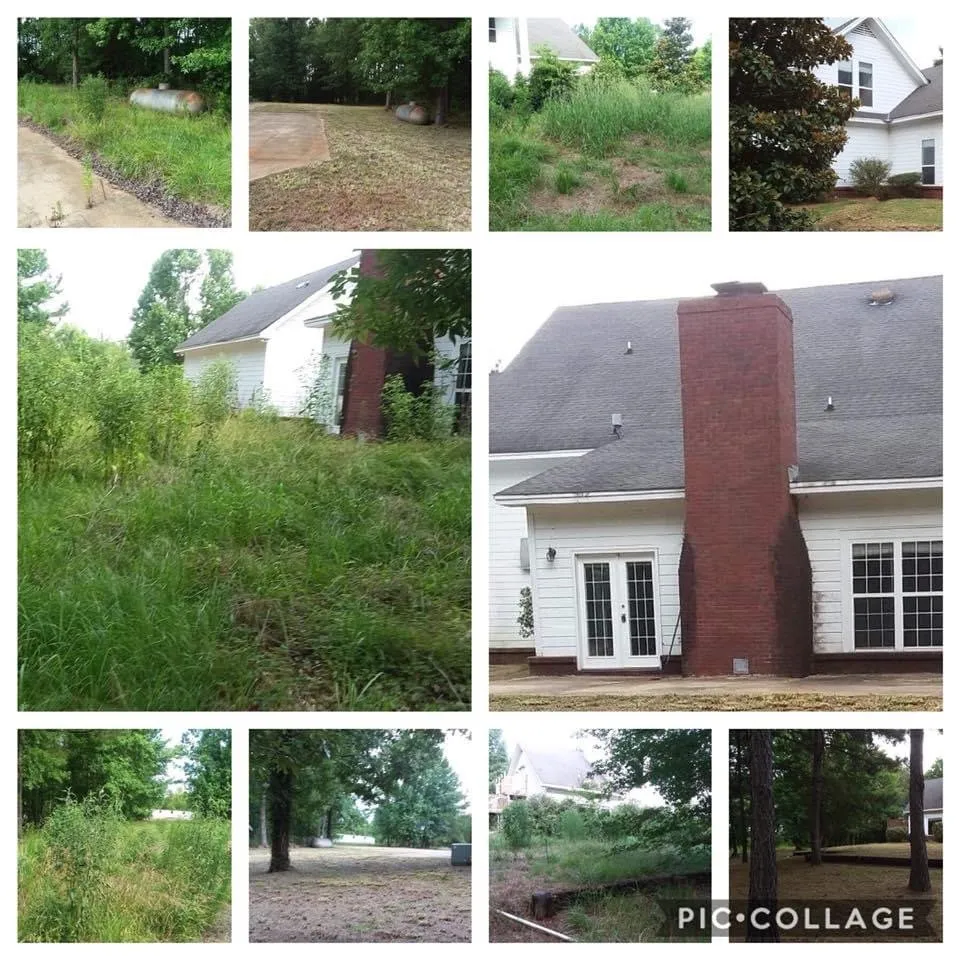 Affordable garden landscaping for homes in Montgomery, AL by Dizzle Landscape And Design