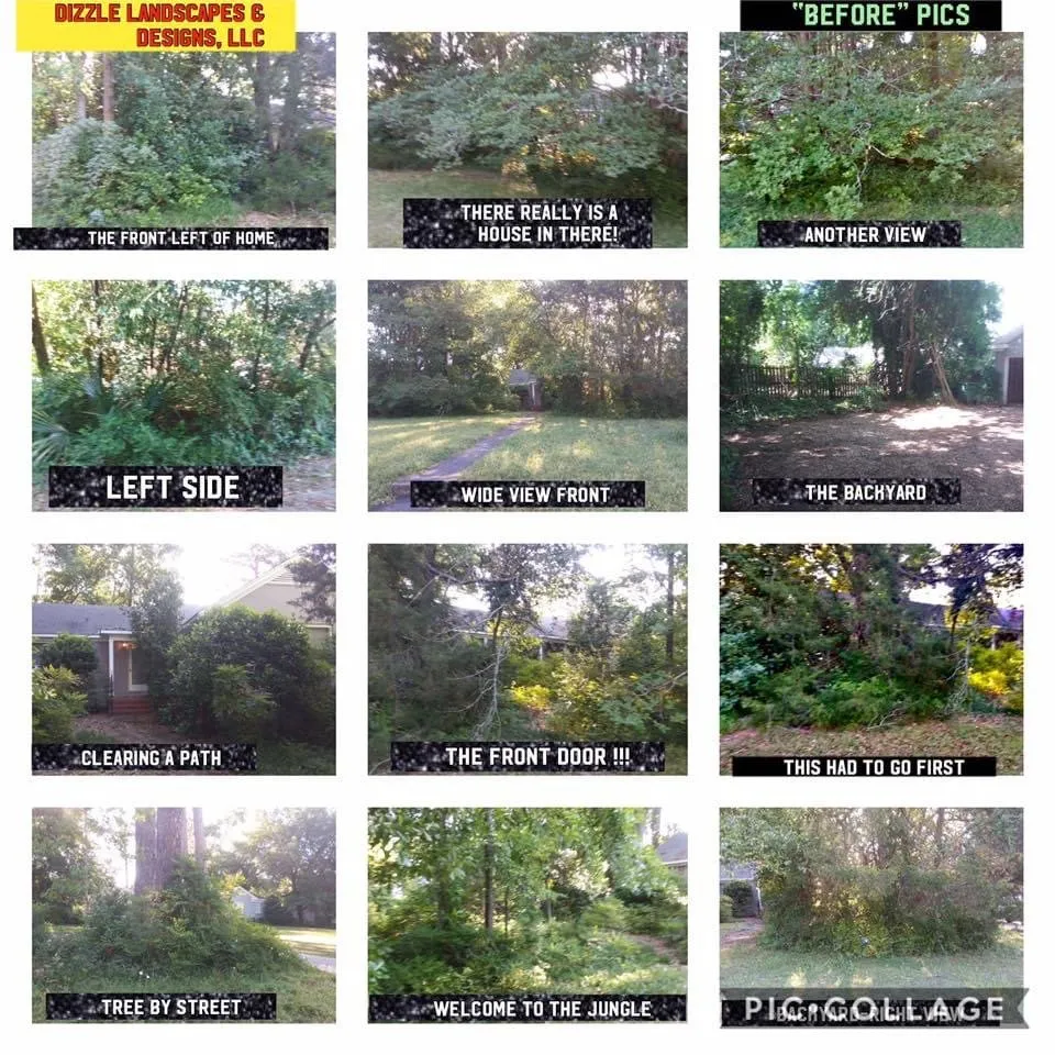 Expert landscape installation experts serving Montgomery, AL - Dizzle Landscape And Design