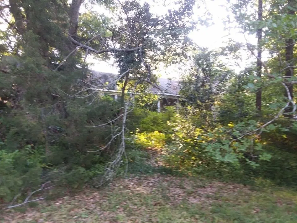 Trusted landscaping services in Montgomery, AL by Dizzle Landscape And Design