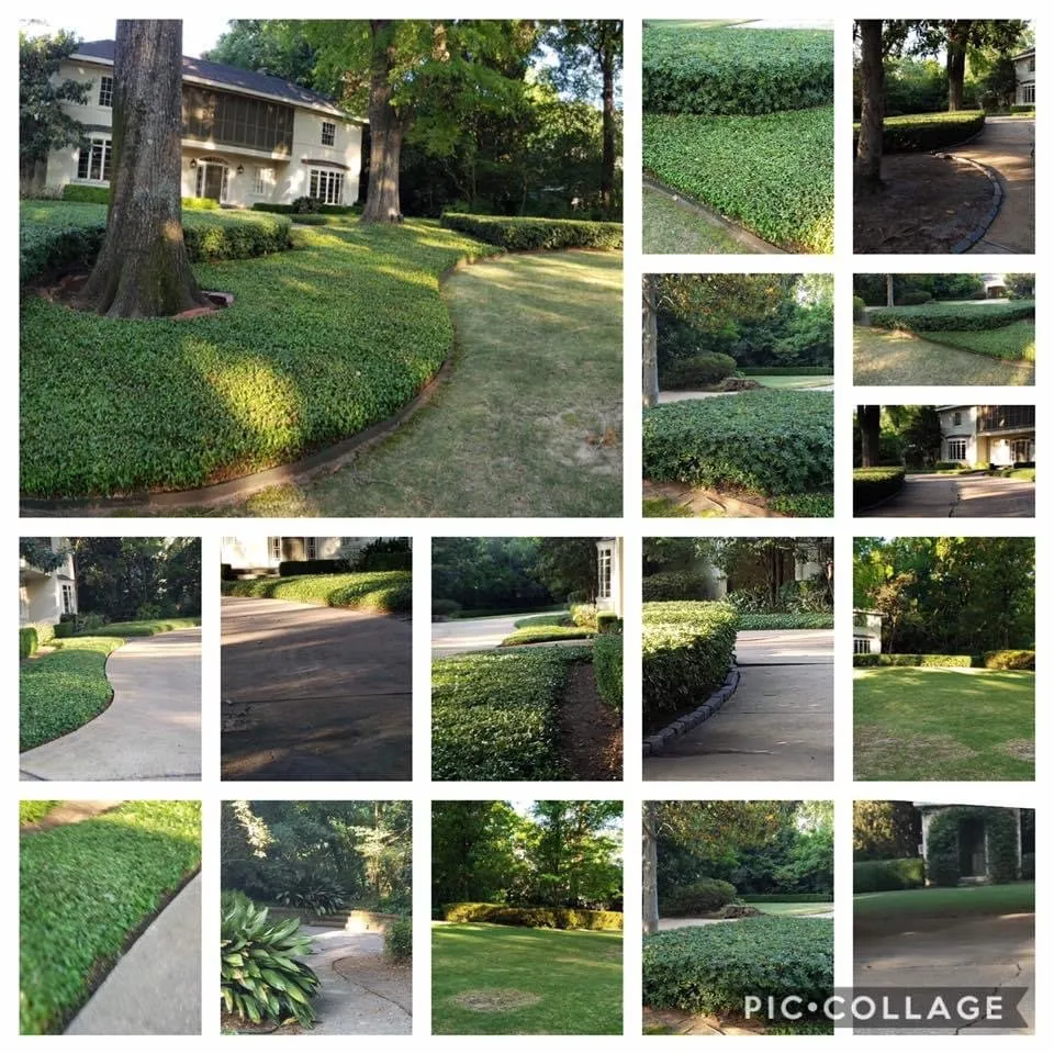 Reliable landscaping services experts serving Montgomery, AL - Dizzle Landscape And Design