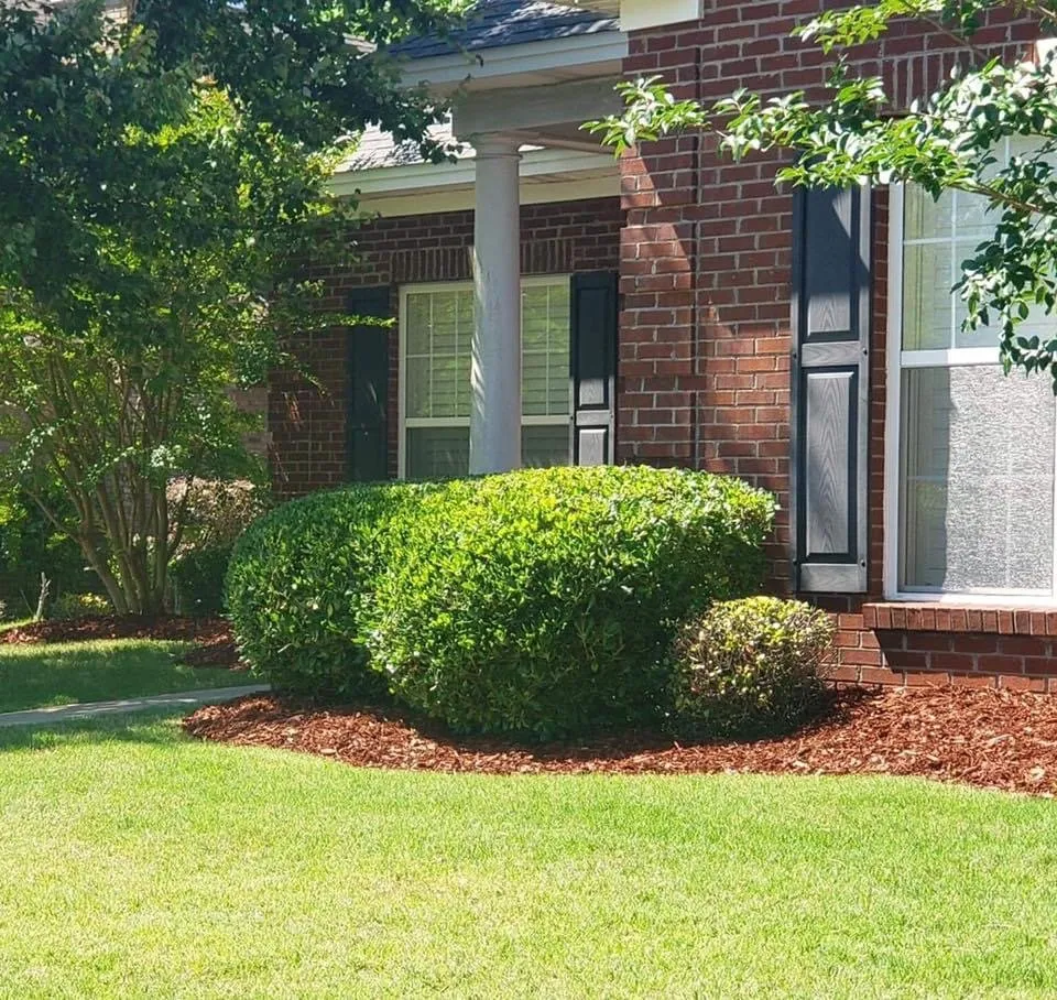 Expert garden landscaping for outdoor upgrades in Montgomery, AL by Dizzle Landscape And Design