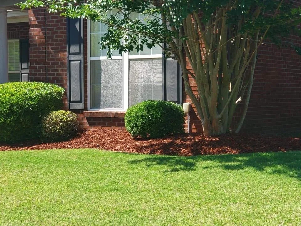 Custom landscape design experts serving Montgomery, AL - Dizzle Landscape And Design