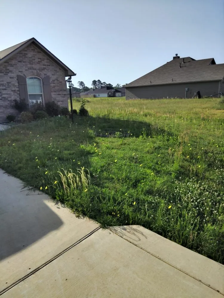 Custom outdoor landscaping experts serving Minden, LA - Dizzy Cleaning and Repair