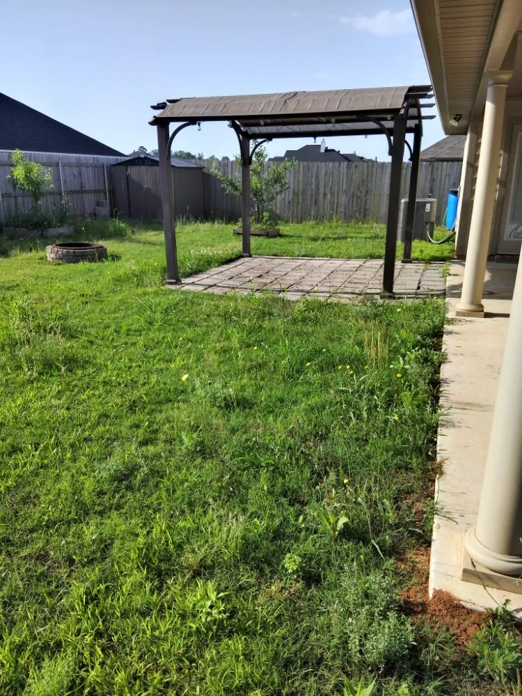 Top-rated yard maintenance experts serving Minden, LA - Dizzy Cleaning and Repair