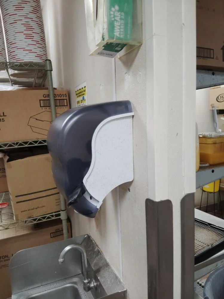 Top-rated yard cleanup service experts serving Minden, LA - Dizzy Cleaning and Repair