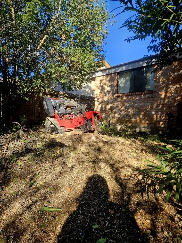 Top-rated residential landscaping in Santa Clara, TX by Dizzy Creek Tree and Lawn Service
