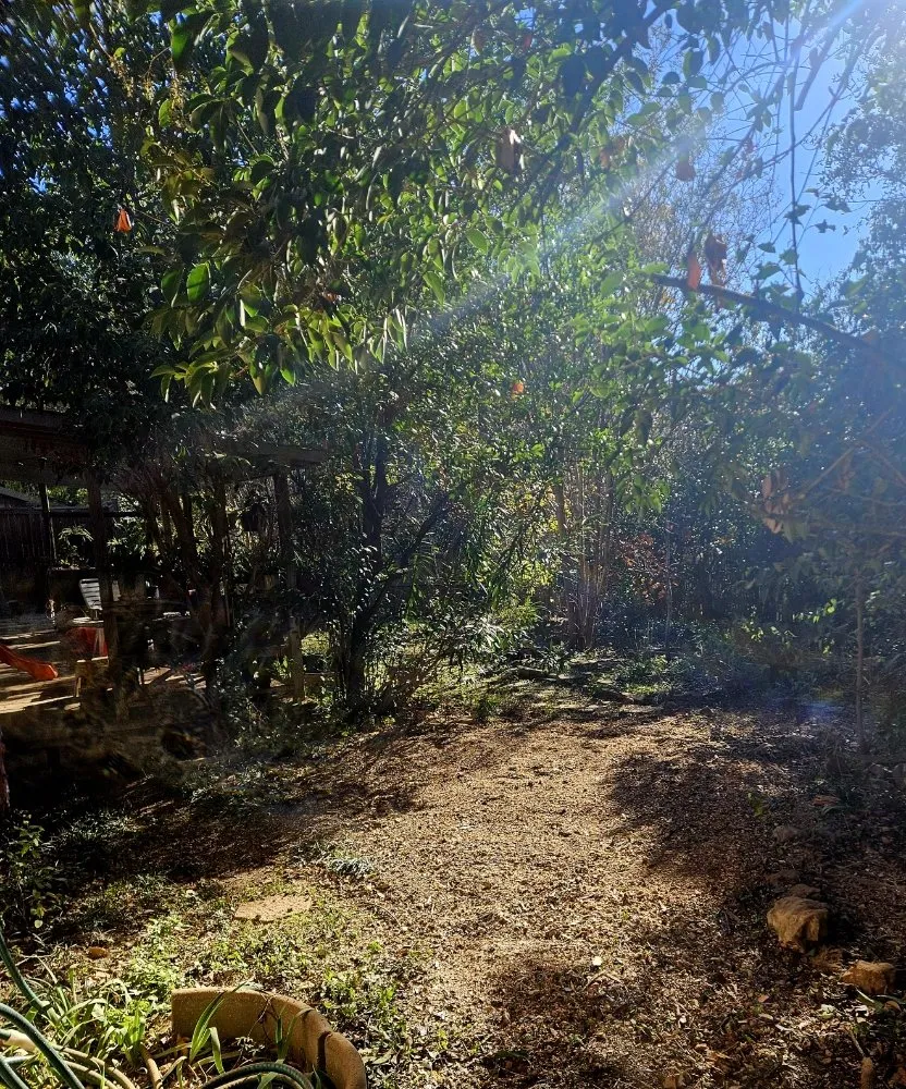 Custom yard cleanup service for residential properties in Santa Clara, TX by Dizzy Creek Tree and Lawn Service