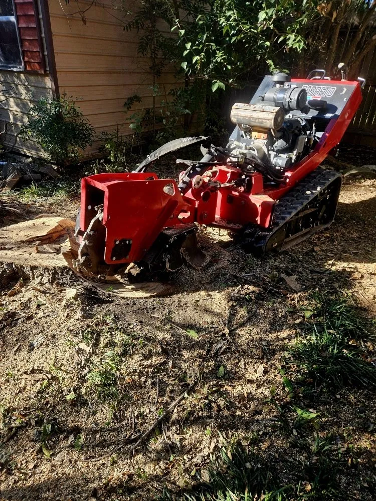 Expert landscape installation in Santa Clara, TX by Dizzy Creek Tree and Lawn Service