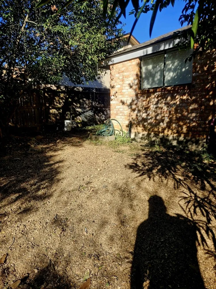Local landscaping services in Santa Clara, TX by Dizzy Creek Tree and Lawn Service