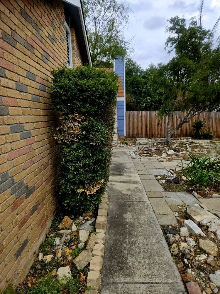 Reliable landscape installation in Santa Clara, TX - Dizzy Creek Tree and Lawn Service